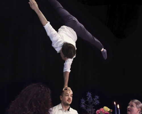 Lunchkonserter & dinnershows